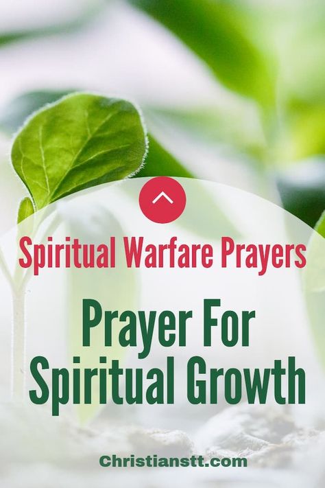 Prayers For Spiritual Growth, Spiritual Food For The Soul, Daily Prayer For Women Spiritual Growth, Prayers For Spiritual Warfare, Spiritual Warfare Scripture, Spiritual Art Soul, Praying Wife, Healing Prayers, Warfare Prayers