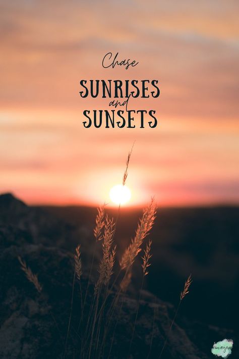 Embrace the beauty of each day, chasing sunrises and sunsets. 🌅✨ Let this quote inspire your wanderlust and passion for life's simple wonders. #SunriseAndSunset #Wanderlust #ChaseLife #ConveyeurTravel Chasing Sunsets Quotes, Chasing Life, Sunrises And Sunsets, Chasing Sunsets, Dream Vision Board, Passion For Life, Dream Board, Each Day, Travel Quotes