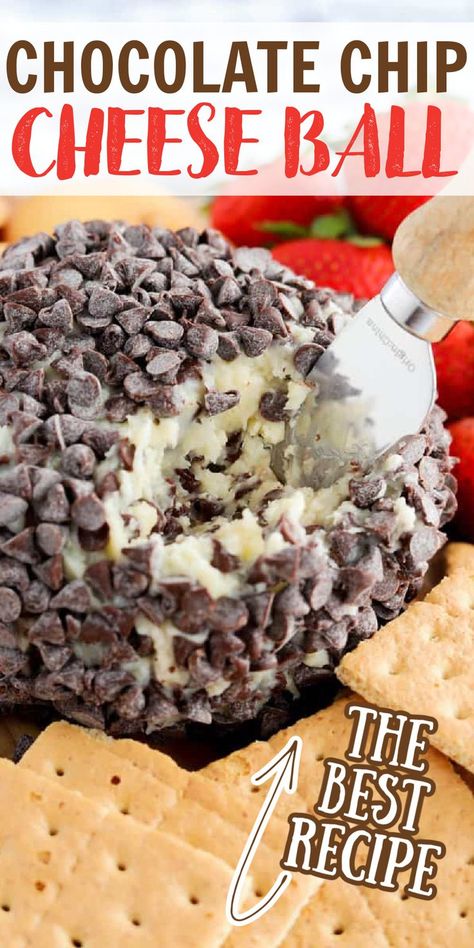 Chocolate Chip Cheese All, Cream Cheese Ball Dessert, Chocolate Chip Ball Dip, Choc Chip Cheeseball, Chocolate Chip Dip With Graham Crackers, Cheese Ball Tray Ideas, Dessert Cheese Ball Christmas, Chocolate Chip Cheeseball Dip, Chocolate Chip Cream Cheese Ball