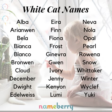 White Cat Names Cat Names For White Cats, Names That Mean White, Names Meaning White, Cat Names Unique, Boy Cat Names, Unique Cat Names, Cute Cat Names, Kitten Names, White Names