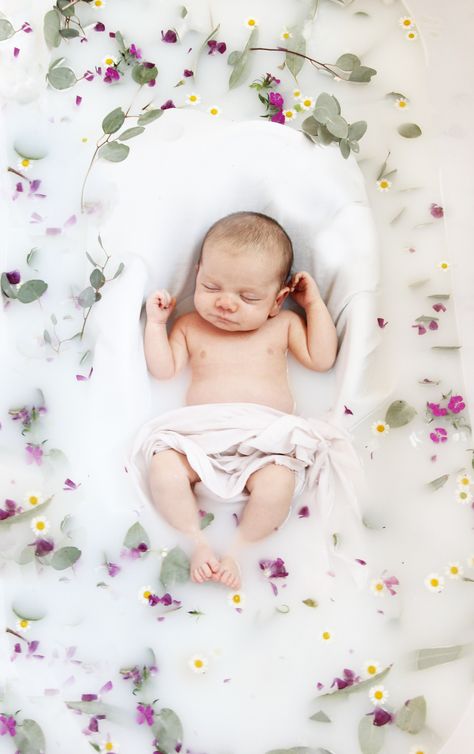 Baby milk bath shoot 3 Month Milk Bath Pictures, Breastmilk Bath Photography, Breastmilk Photoshoot Ideas, Apple Milk Bath Photos, Infant Milk Bath Pictures, Milkbath Photography Baby, Newborn Bath Photoshoot, Baby Tub Photoshoot, Fall Milk Bath Baby