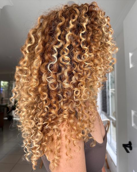 BRISBANE CURLS & BALAYAGE | PARIS MCELROY | Enhanced these beautiful natural ginger curls with hand painted balayage 🧡 Curly girl @abbyhalliwell Protected with @olaplex Glossed… | Instagram Copper And Blonde Highlights Curly Hair, Ginger Hair Blonde Highlights Curly, Ginger Curly Hair With Highlights, Strawberry Blonde Balayage Curly Hair, Red Curly Hair With Blonde Highlights, Curly Red Hair With Blonde Highlights, Hair Glossing Before And After, Strawberry Blonde Curls, Ginger Hair Curly