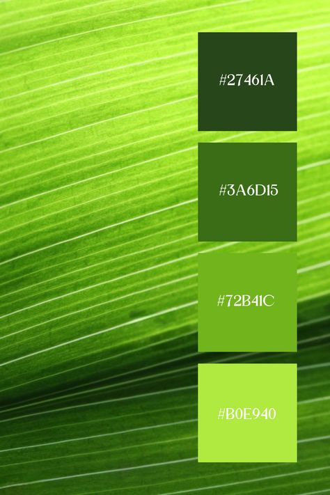 Kelly Green Color Palette: A close-up of kelly green leaves, embodying the vibrant and rich essence of nature. Bright Green Color Palette, Kelly Green Color Palette, Green Color Palette, Green Colour Palette, Color Harmony, Color Palette Generator, Colour Palettes, Green Aesthetic, Lush Green