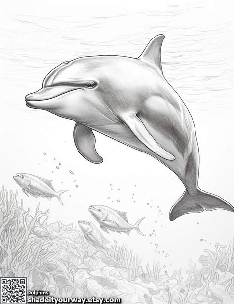 Beautiful Dolphins, Dolphin Drawing, Dolphins Swimming, Under The Water, Bottlenose Dolphin, Coloring Page Printable, My Sketchbook, Grayscale Coloring, Fish Art