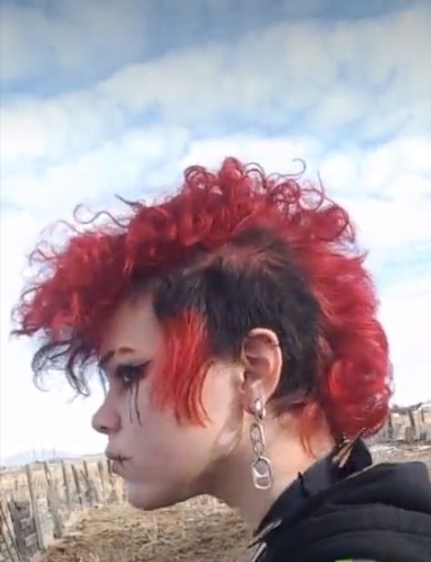 Curly Hair Deathhawk, Cool Grunge Hairstyles, Mullet Deathhawk, Short Deathhawk Mullet, Alternative Hair Inspiration, Deathhawk Haircut, Deathhawk Short, Punk Curly Hairstyles, Punk Hair Curly