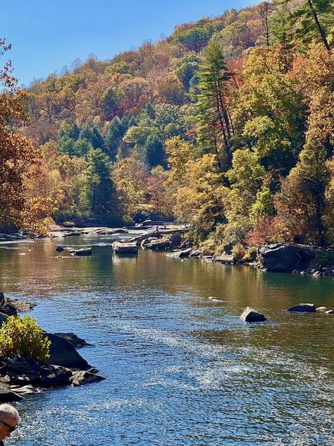 Pennsylvania Photography with Uncovering PA | Ohiopyle…. | Facebook Pennsylvania Hiking, Pennsylvania Landscape, Pennsylvania Photography, Pennsylvania Mountains, Camp America, Rural Pennsylvania, Mountain Aesthetic, About Trees, American Lifestyle