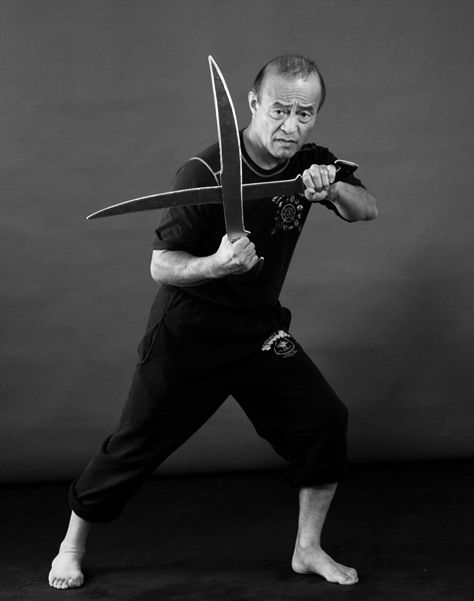 Dan Inosanto, Kali Martial Art, Happy 79th Birthday, Olympic Judo, Warrior Culture, Kayla Harrison, Poses Male, Filipino Martial Arts, 79th Birthday