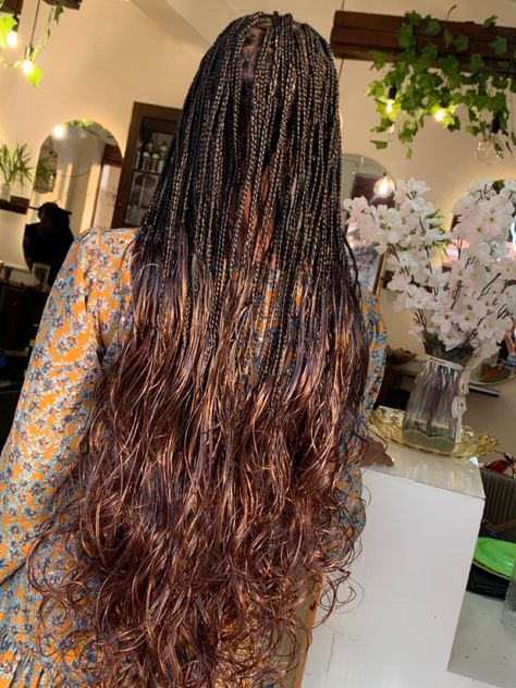 I love this brown and black Color combo Brown French Curl Braids, Brown Locs, French Curl Braids, Curl Braids, Brown French, French Curl, Braiding Hair, Color Combo, Hair Hacks