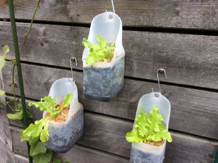 Re-purposing milk containers and foiling native animals in the process. SCORE! :) Milk Jugs Garden, Bottle Planters, Milk Jug Crafts, Plastic Bottle Planter, Plants In Bottles, Strawberry Planters, Recycled Garden, Bottle Garden, Diy Greenhouse