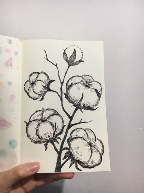 A6 Sketchbook Drawings, Types Of Shading Techniques, Cotton Flower Drawing, Cool Flower Drawings, Aesthetic Flower Sketch, Flower Pen Drawing, Full Page Drawings, Artline Drawing, Botanical Drawing