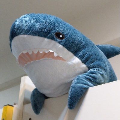 Stuffed Shark, Ikea Shark, Shark Pictures, Shark Plush, Cute Shark, Blue Shark, Silly Animals, Blue Decor, Baby Shark