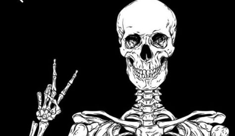 Funny Backgrounds For Chromebook, Skull Wallpaper Laptop, Skeleton Wallpaper Laptop, Laptop Wallpaper Asthetics, Chromebook Backgrounds, Emo Aesthetic Wallpaper, Skeletons Wallpaper Aesthetic, Skeleton Pics, Skeleton Wallpaper