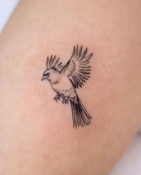 15+ Cardinal Tattoo Designs to Symbolize Love and Hope Black Ink Cardinal Tattoo, Mens Cardinal Tattoo, Vintage Cardinal Tattoo, Cardinal In Flight Tattoo, Pictures Of Cardinals, Cardinal Hand Tattoo, Northern Cardinal Tattoo, Realistic Cardinal Tattoo, Cardinal And Hummingbird Tattoo