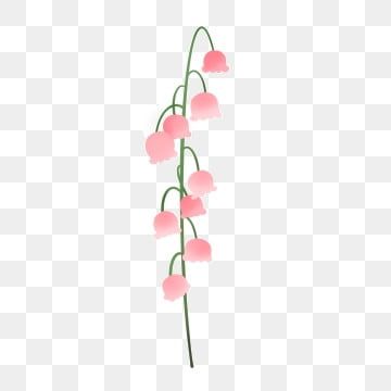 Lily Of The Valley Png, Flower Lily Of The Valley, Pink Roses Background, Pink Clipart, Plant Clipart, Hand Clipart, Png Flower, Spring Clipart, Romantic Background