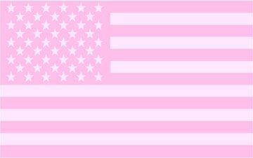 Bulletin Boards Office, Pink American Flag, I Love Pink, Framed Cork Board, Cute Headers, Dorm Room Inspiration, Barbie Life, America Flag, Everything Pink