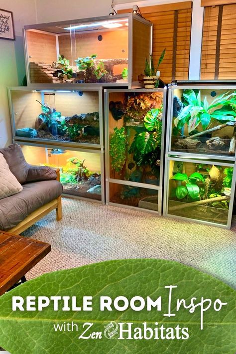 A great setup starts with a great enclosure. Zen Habitats reptile enclosures are stackable and expandable to grow with you and your pet. Our spacious and beautiful enclosures were designed with your pet's well-being as our top priority. Shop our customers' reptile room setups via the link below: Multiple Reptile Tank Setup, Diy Reptile Enclosure Furniture, Reptile Room Ideas, Zen Habitats, Iguana Enclosure, Reptile Tanks, Snake Enclosure, Happy Environment, Reptile Care