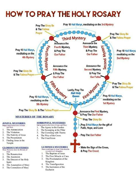 Rosary Prayer Guide, Praying The Rosary Catholic, Rosary Guide, Pray Rosary, Rosary Prayers Catholic, Saying The Rosary, Catholic Prayers Daily, Pray The Rosary, Catholic Beliefs