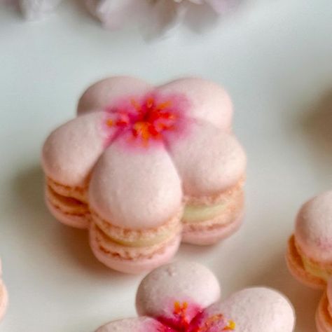 Linda on Instagram: "Happy Friday! These 🌸Cherry blossom macarons were filled with lychee ganache and guava purée. #cherryblossom #macarons #sweets #dessert #yvrfoodie #yvreats #vancouverfoodie #vancouver" Cherry Blossom Macarons, Japanese Macarons, Lychee Macarons, Cherry Blossom Dessert, Lychee Cheesecake, Flower Macarons, Easter Buffet, Plated Dessert, Cakes Pastries