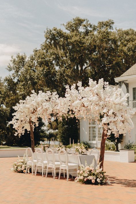 English Garden Wedding Theme, Cherry Blossom Wedding Decor, Ceremony Flowers Aisle, Blossom Tree Wedding, White Blossom Tree, Cherry Blossom Decor, Dyi Wedding, English Garden Wedding, Minimalist Wedding Decor