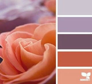 Paars Seeds Color, Design Seeds, Colour Board, Colour Schemes, Color Pallets, Light Orange, Color Swatches, Color Theory, Color Themes