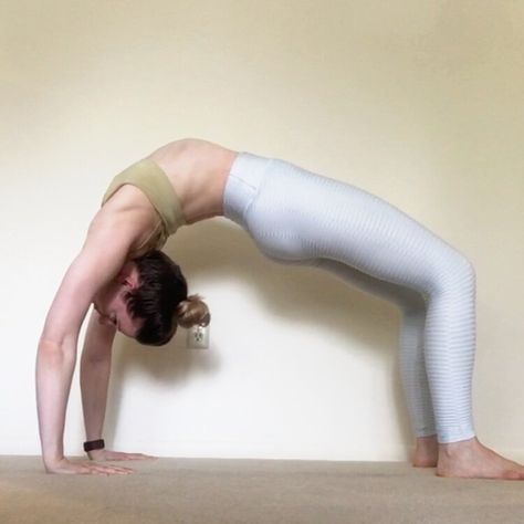 The Ultimate Bridge Pose Progression Guide — Dani Winks Flexibility How To Do Bridge Pose, Bridge Pose Benefits, Bridge Variations, Bridge Pose Yoga, Yoga Bridge, Yoga Bridge Pose, Yoga Bridge Pose Variation, Shoulder Flexibility, Back Flexibility