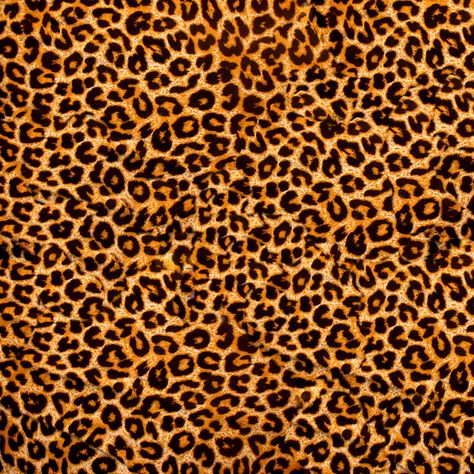 leopard,backdrop,seamless,art,chain,mail,decoration,graphic,textile,decor,decorative,arabesque,pattern,texture,black,hd Animal Skin Pattern, Leopard Print Background, Deco Panel, Modern Mural, Girly Wallpapers, Print Background, Leopard Fabric, Lock Screens, Skin Pattern