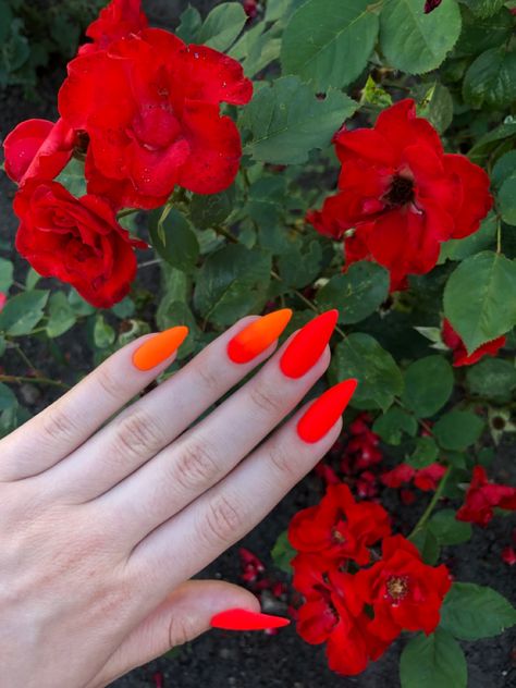 Red To Orange Nails, Red Orange Nails Design, Blood Orange Nails, Orange And Red Nails, Gel Nails Orange, Red And Orange Nails, Orange Red Nails, Orange Nails Design, Orange Nails Summer