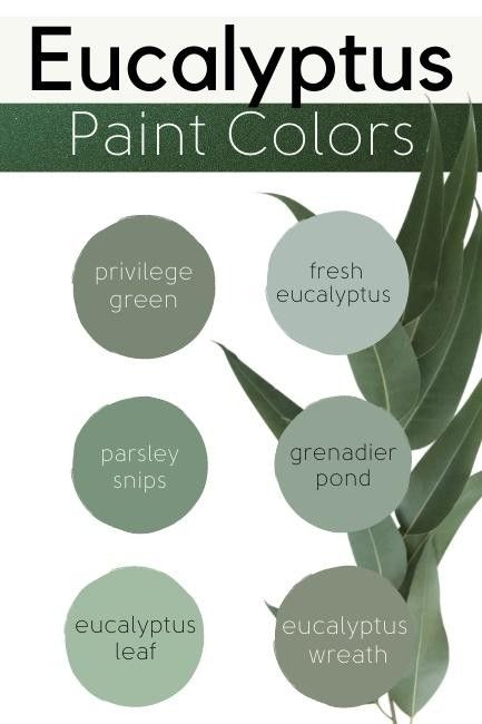 Benjamin Moore Grenadier Pond, Sea Salt Sherwin Williams, Green Living Room, Living Room Wall Decoration, Eucalyptus Green, Fresh Eucalyptus, Feuille Eucalyptus, Room Wall Decoration, Types Of Colours