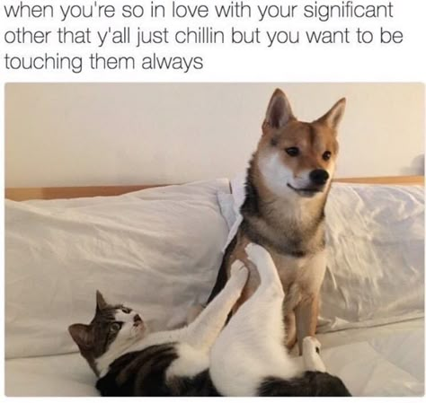 40 Spicy Relationship Memes To Send To Your Significant Other - CheezCake - Parenting | Relationships | Food | Lifestyle Funny Couples Memes, Funny Boyfriend Memes, Couple Memes, Memes For Him, Funny Relationship Memes, Funny Relationship Quotes, Girlfriend Humor, Boyfriend Memes, Memes Sarcastic