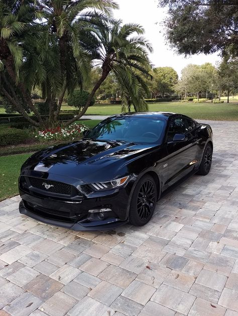 Siyah Mustang, Sports Cars Mustang, Mobil Mustang, Aventador Lamborghini, Black Mustang, Quotes Car, Car Tattoo Design, Ford Mustang Car, Car Tattoos