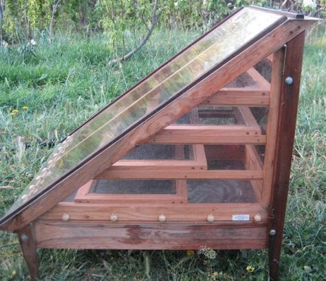 Solar Food Dehydrator, Solar Dehydrator, Solar Oven, Food Dehydrator, Homestead Survival, Diy Solar, Earthship, Dehydrator Recipes, Off Grid Living