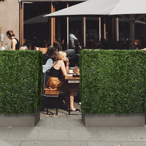 Why should I use an Artificial Boxwood Hedge?  Uplift the entrance to your cafe, restaurant, showroom or office space in an instant with this striking, no-maintenance display. The faux box hedge is a great modern alternative to standard store barriers. Instant hedges can be used to screen unsightly areas or create borders for seating areas. Our high-quality Artificial Boxwood Hedge is a great alternative to a living hedge. It's suitable for both indoor and outdoor use.   Why should I buy artific Ficus Hedge, Golf Lounge, Box Hedge, Family Yard, Boxwood Hedges, Boxwood Landscaping, Beech Hedge, Box Hedging, Faux Boxwood