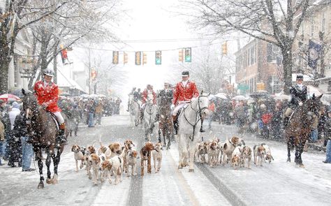 10 Virginia Small Towns That Deserve Your Attention Middleburg Virginia, Virginia Travel, Virginia Is For Lovers, Christmas Parade, Christmas Town, Northern Virginia, Magical Christmas, Christmas Vacation, White Horse