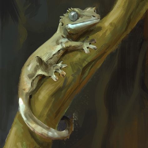 2,974 Likes, 19 Comments - Jonathan Kuo (@jonnadon1) on Instagram: “Study on my baby crested gecko full image and drawing breakdowns on Artstation and Facebook…” Crested Gecko Drawing, Cute Crested Gecko, Gecko Drawing, Cute Gecko, Cute Lizard, Cute Reptiles, Crested Gecko, Snake Art, Gouache Art