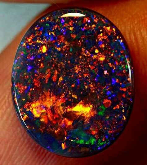 Black Fire Opal Pretty Rocks, Rocks Crystals, Beautiful Rocks, Beautiful Stones, Lightning Ridge, Mineral Stone, Gems Crystals, Minerals And Gemstones, Rocks And Gems