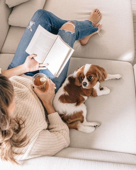 Meaning Aesthetic, Rescue Remedy, Anklets Silver, A Girl And Her Dog, Watches Classy, Girl And Her Dog, Bracelets Simple, Cavalier Puppy, Photos With Dog