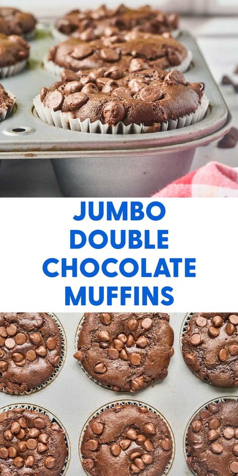 Jumbo Muffin Recipes, Chocolate Breakfast Recipes, Chocolate Chip Muffins Easy, Buttermilk Muffins, Double Chocolate Chip Muffins, Jumbo Muffins, Double Chocolate Muffins, Chocolate Breakfast, Sweet Breakfast Treats