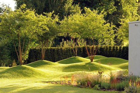 Lawn Sculpture, Amelanchier Lamarckii, Landscape And Urbanism Architecture, Garden Design Plans, Landscape And Urbanism, Garden Types, Landscape Architecture Design, Garden Architecture, Garden Lawn