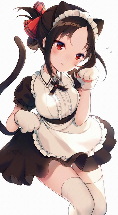 Maid Kagu-Nya Kaguya Sama, Anime Pictures, Anime Cat, Anime Stickers, Kawaii Girl, Anime Cosplay, Best Funny Pictures, Anime Shows, Cartoon Wallpaper