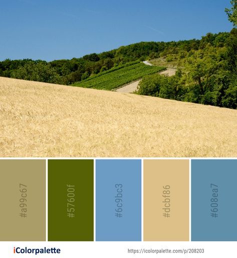 Color Palette ideas from 3434 Grass Images | iColorpalette Agriculture Color Palette, Grass Images, Prairie Landscape, Crop Field, Color Palette Ideas, Sky Images, Sky Tree, Palette Ideas, Branding Ideas