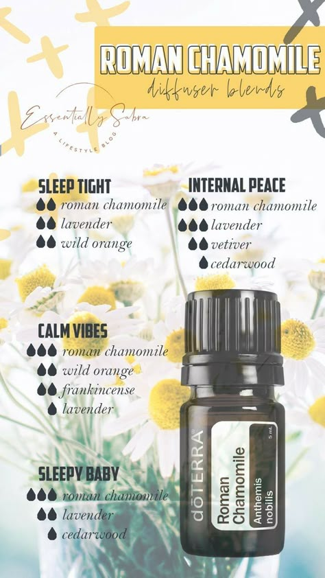 Roman Chamomile Diffuser Blends, Chamomile Diffuser Blends, Doterra Roman Chamomile, Oils For Energy, German Chamomile, Roman Chamomile Essential Oil, Doterra Recipes, Doterra Diffuser, Thyme Essential Oil