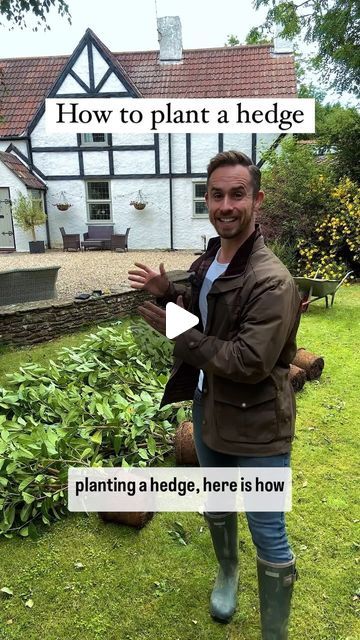 Michael Griffiths on Instagram: "How to grow a hedge
Start by clearing any turf, grass or weeds and make a border so your hedging has its own space to grow into. You can either dig a trench, or individual holes a few inches winder and a few inches deeper than your pot. 
If you’re planting on a boundary , a good practice is to position hedge between 1.5 and 3ft away from the boundary line. This gives your hedge plenty of room to fill out before becoming an issue with overhanging the pavement or a neighbour’s property.

Almost all evergreen hedging is fine planted into normal garden topsoil but if your garden is heavy clay, or sandy soil it’s always a good idea to pack around the plants with some multi purpose compost. 

Place the hedging plants in your trench or hole, spacing them evenly al Wax Leaf Privet Hedge, Laurel Hedge Front Garden, Small Garden Hedges, Planting Hedges, Cherry Laurel Hedge, Privet Hedge, Laurel Hedge, Box Hedging, Garden Hedges