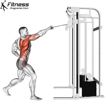 Back Cable Workout, Standing Row, Best Back Exercises, Oblique Exercises, Cable Machine Workout, Cable Abs, Abs And Obliques Workout, Back Workout Routine, Chest Workout For Men