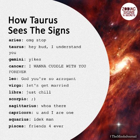 How Taurus Sees The Signs - https://themindsjournal.com/how-taurus-sees-the-signs/ Sagittarius And Taurus, Zodiac Things, Taurus Zodiac Facts, Taurus Quotes, Astrology Taurus, Zodiac Funny, Zodiac Signs Taurus, Horoscope Taurus, Zodiac Sign Traits