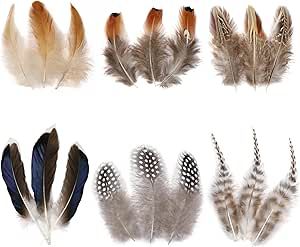 Dream Catcher Crafts, Dream Catcher Supplies, Craft Feathers, Chicken Feathers, Wedding Party Centerpieces, Feather Mask, Dream's Cat, Pheasant Feathers, Feather Crafts