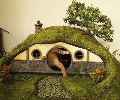 Cat Liter, Katt Grejer, Casa Hobbit, Cat Castle, Best Cat Litter, Cat Tree House, Cat Houses, Hobbit Hole, Cat Things