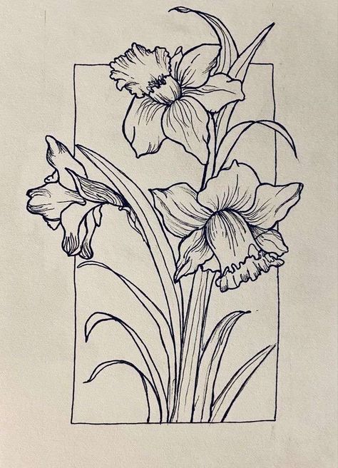 Narciss Flower Drawing, Flower Drawing Daffodil, Daffodils Drawing Simple, Daffodil Sketch Tattoo, Daphadil Flower Drawing, Drawing Of Daffodils, Daffodil Coloring Pages, Daffodil Tattoo Drawing, Daphidill Flower Tattoo