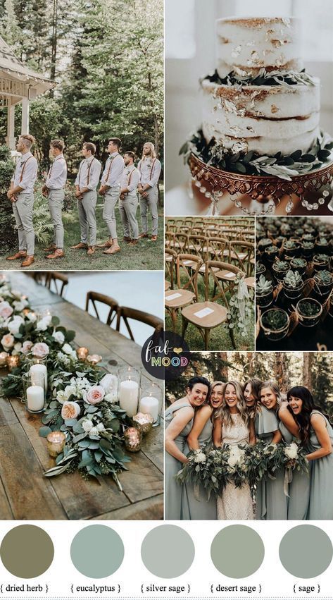 Sage wedding colors { Sage green wedding theme } silver sage wedding colours ,sage wedding colours Wedding Colors Sage Green, Wedding Colors Sage, Sage Green Wedding Theme, Green Wedding Theme, Sage Wedding Colors, Cer Nocturn, Wedding Color Palettes, Wedding Color Combinations, Green Themed Wedding