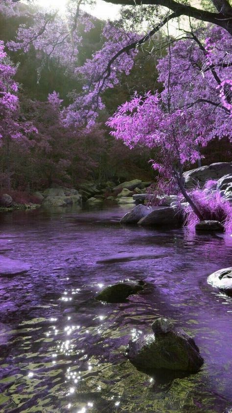 Chill Places Nature, Purple Scenery Wallpaper, Purple Nature Aesthetic, Purple Place Aesthetic, Nada Core, Purple Place, Rainy Wallpaper, Lavender Aesthetic, Wallpaper Purple