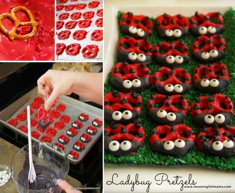 Ladybug Pretzels, Ladybug Food, Pretzel Treats, Fruit Crafts, The Whoot, Pretzels Recipe, Ladybug Party, Candy Cakes, Last Moment